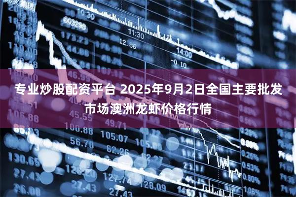专业炒股配资平台 2025年9月2日全国主要批发市场澳洲龙虾价格行情