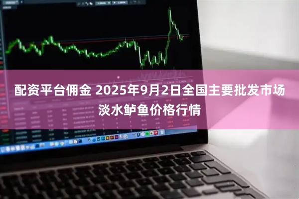 配资平台佣金 2025年9月2日全国主要批发市场淡水鲈鱼价格行情