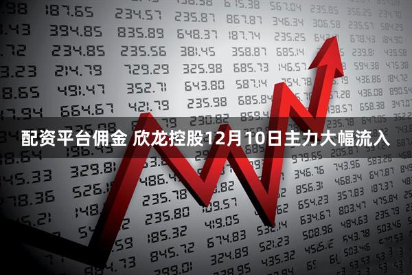配资平台佣金 欣龙控股12月10日主力大幅流入