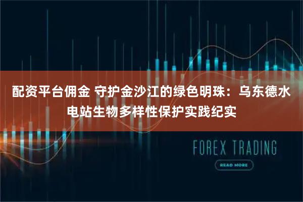 配资平台佣金 守护金沙江的绿色明珠：乌东德水电站生物多样性保护实践纪实