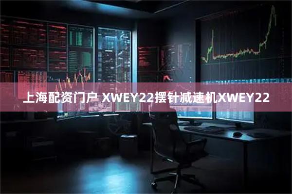 上海配资门户 XWEY22摆针减速机XWEY22