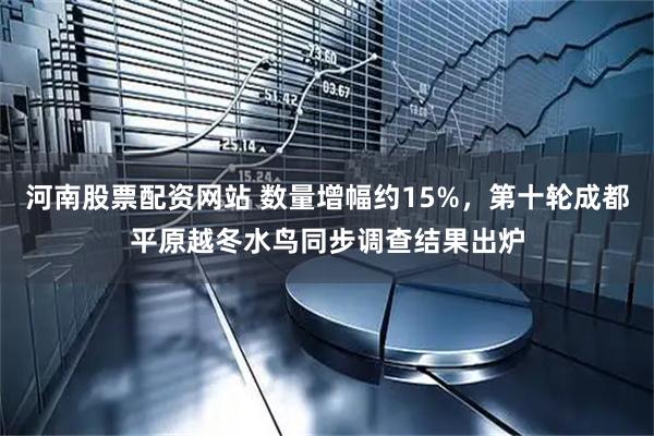 河南股票配资网站 数量增幅约15%，第十轮成都平原越冬水鸟同步调查结果出炉