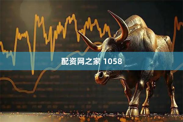配资网之家 1058